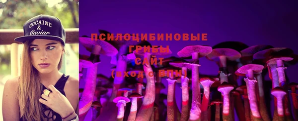 сатива Армянск