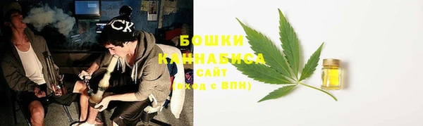 сатива Армянск